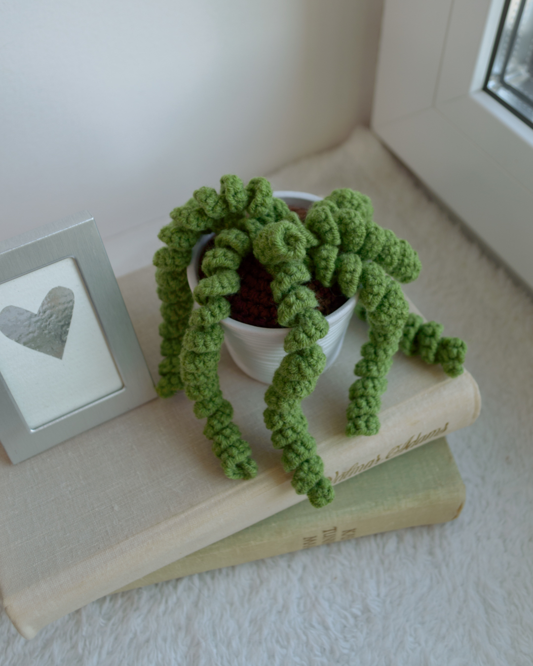 Roheline taim potis, urusaba / Burro's tail - Image 2