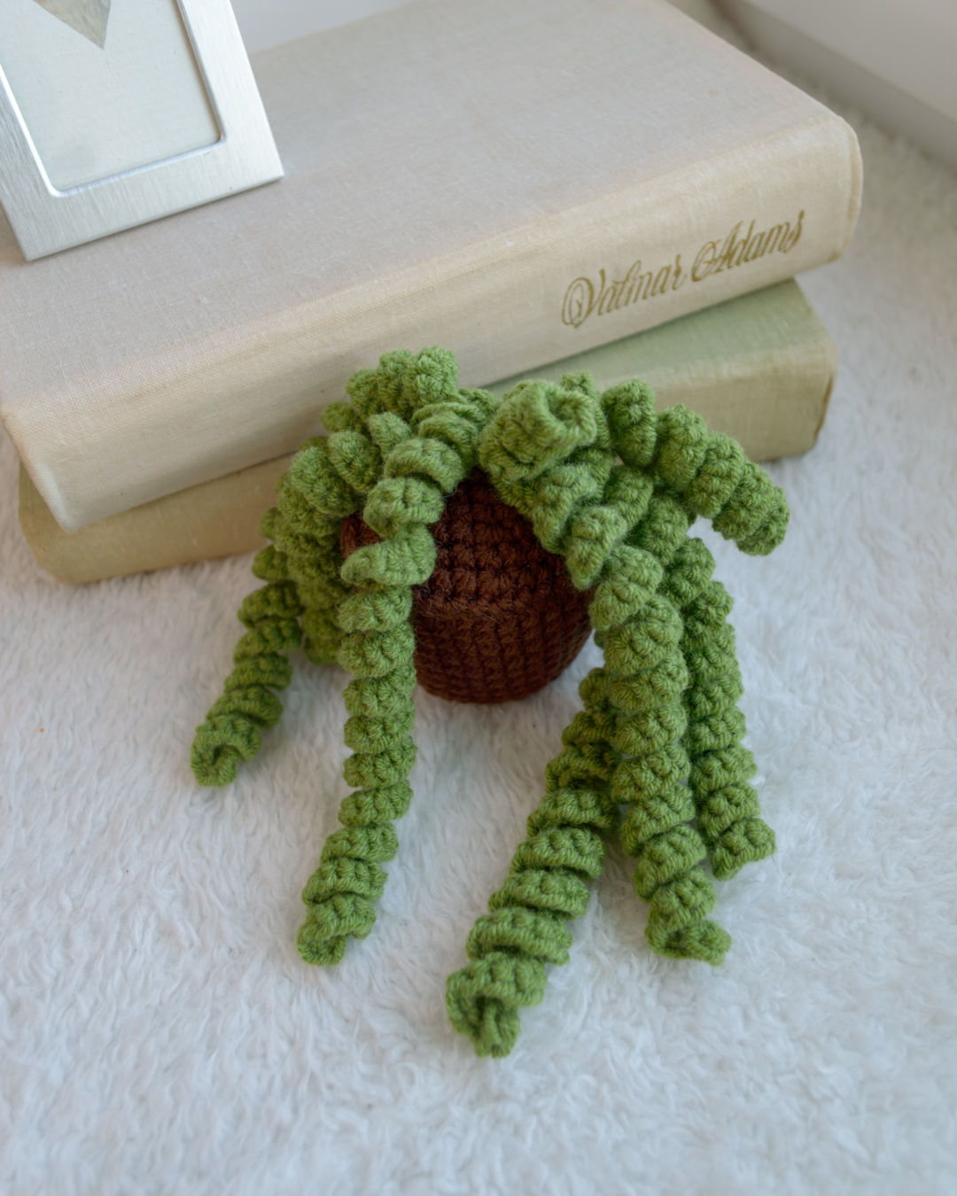 Roheline taim potis, urusaba / Burro's tail - Image 3