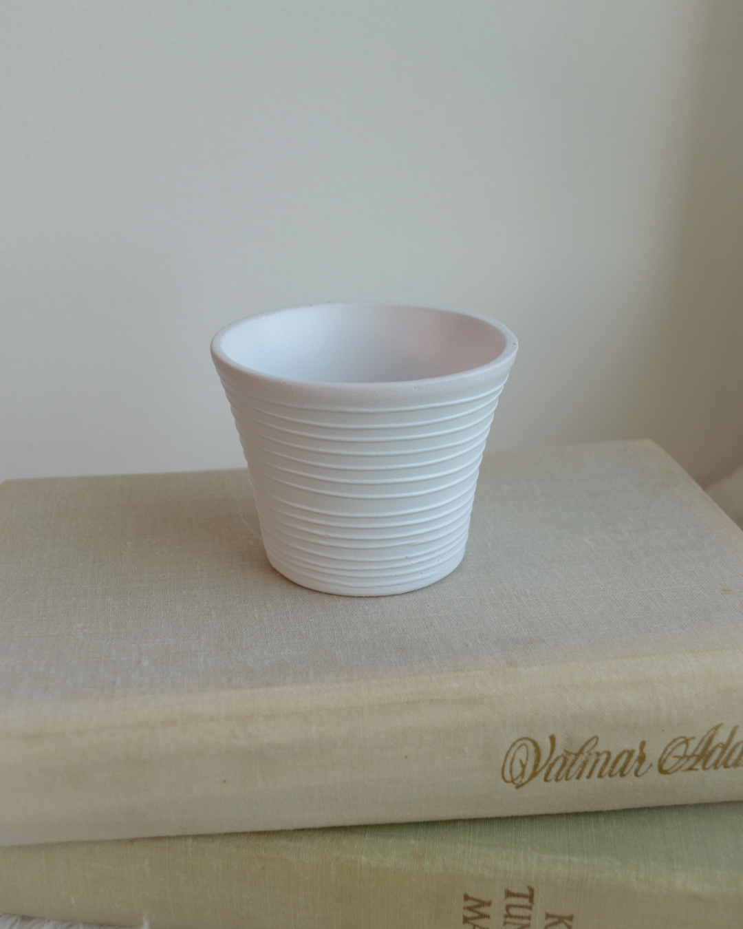 Roheline taim potis, urusaba / Burro's tail - Image 4