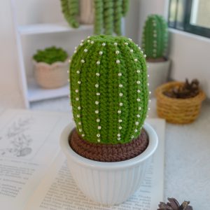 Kaktus keraamilises potis 15cm