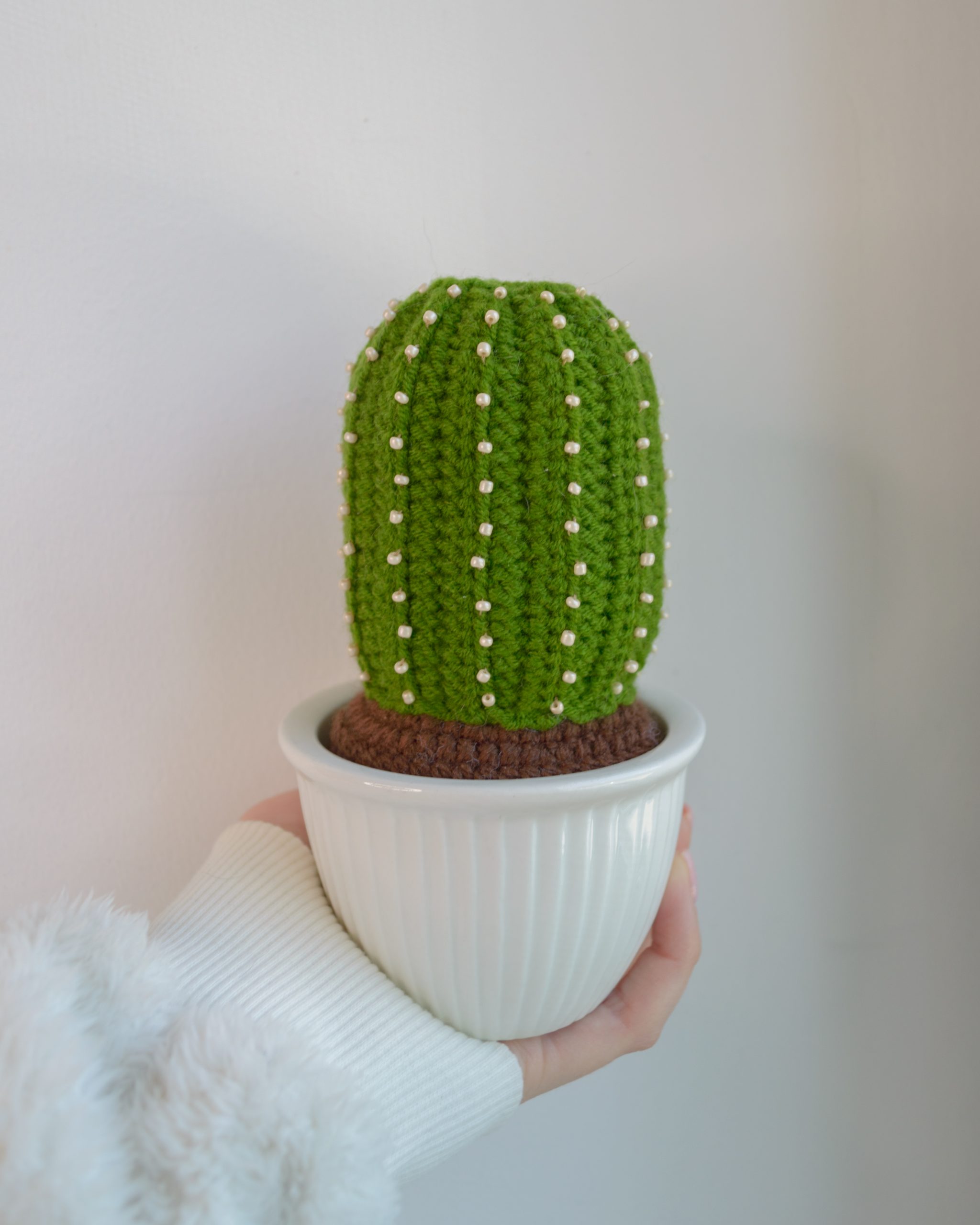 Kaktus keraamilises potis 15cm - Image 4