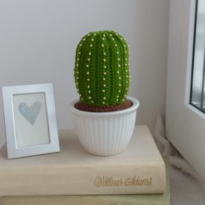 Kaktus keraamilises potis 9cm