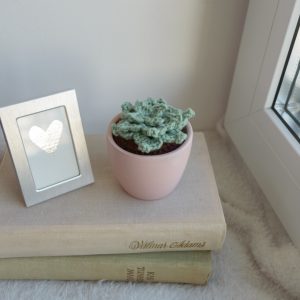 Sukulent keraamilises roosas potis