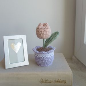 Roosa väike tulp lillas potis 12cm