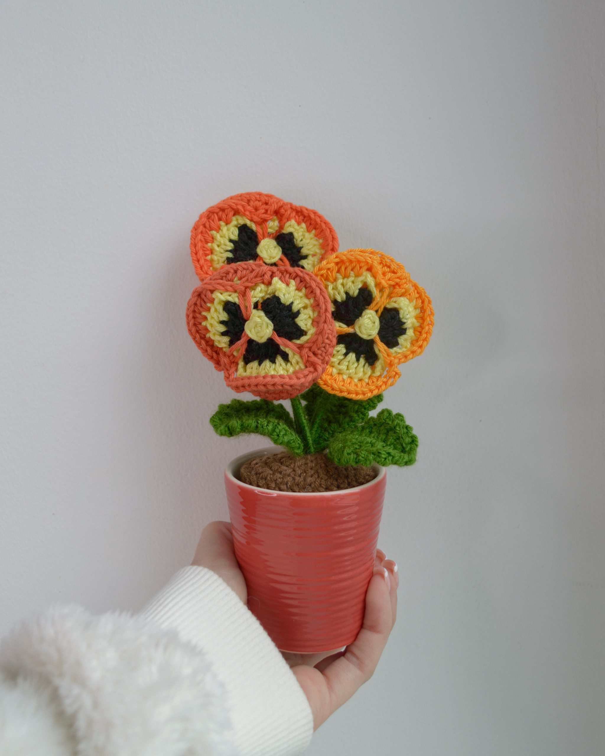 Võõrasemad punases potis, oranžid - Image 4