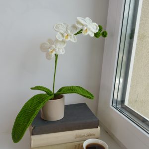 Orhidee, valge 30cm
