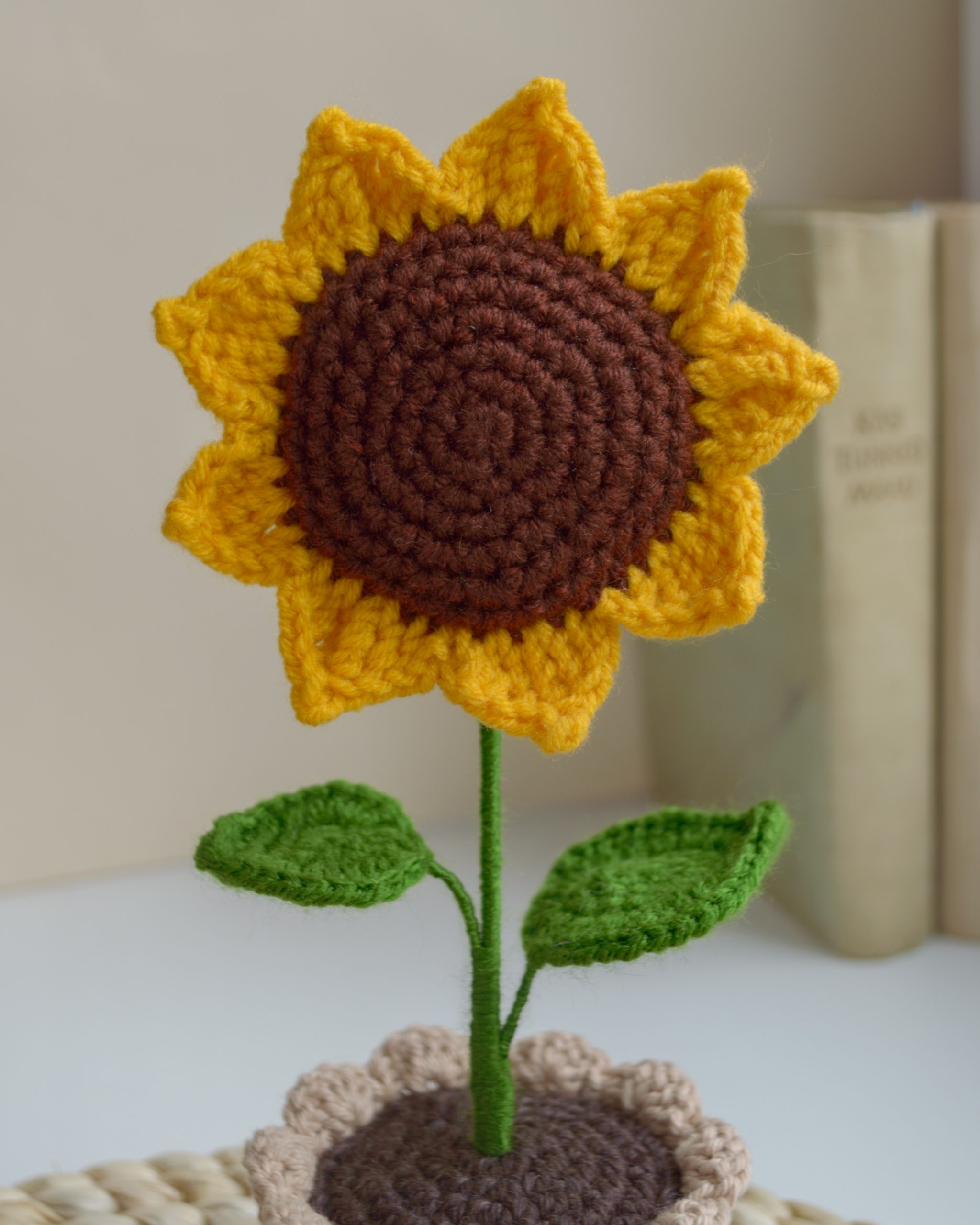 Päevalill helepruunis potis 22cm - Pilt 2