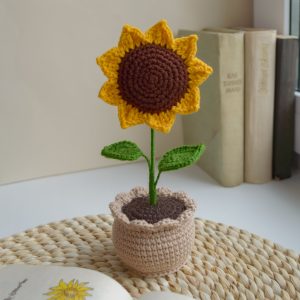Päevalill helepruunis potis 22cm