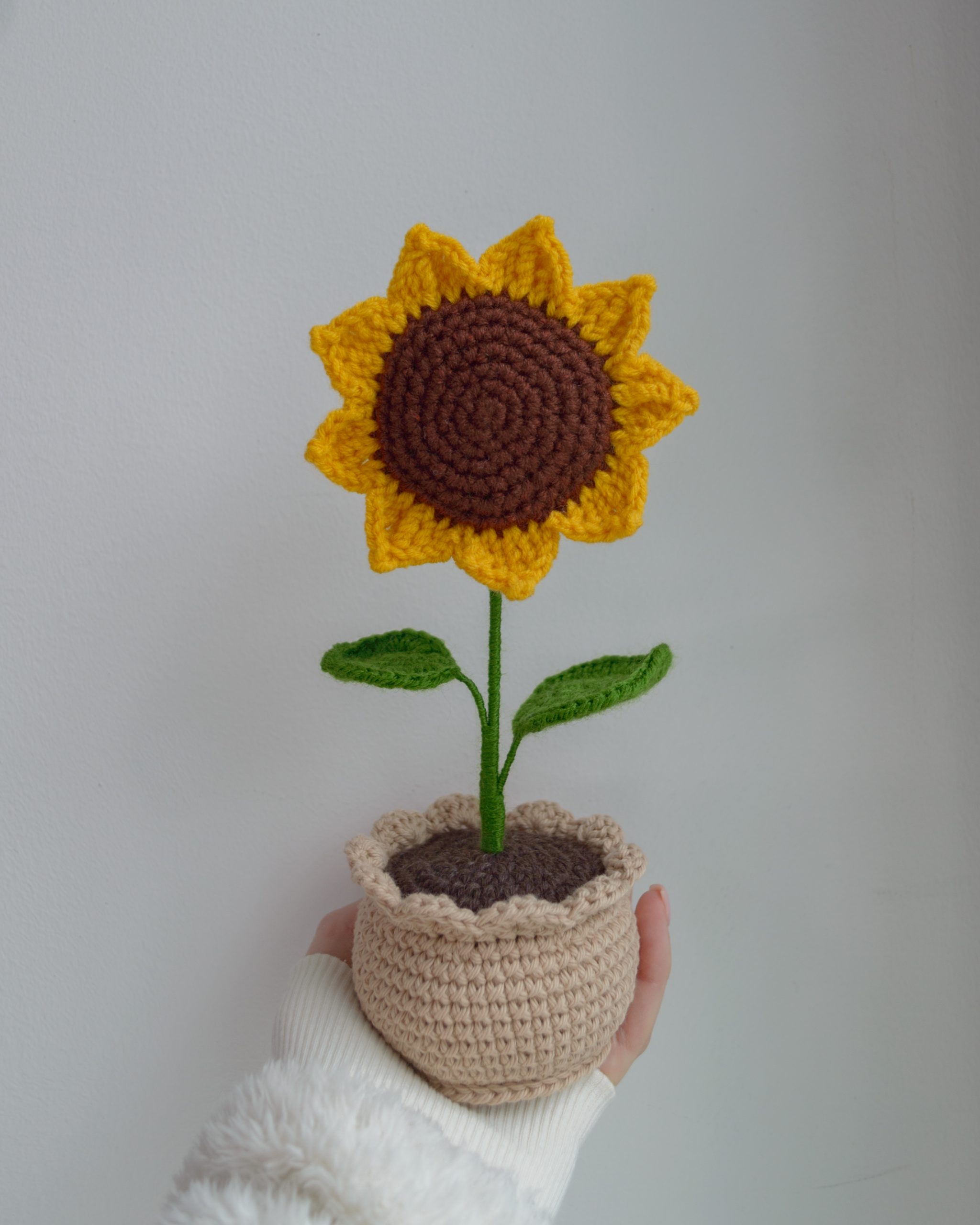 Päevalill helepruunis potis 22cm - Pilt 4