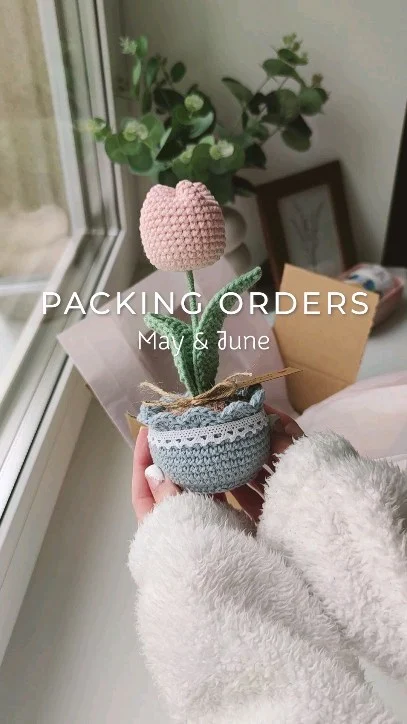 Mai ja Juuni tellimused 📦🧶

Kevad ja suve algus olid ilmselt selle aasta kõige tihedam aeg. 💐

Juuli on siiani päris rahulik olnud ja mulle see isegi sobib.

Kui muidu olen viimase aasta jooksul üritanud iga päev vähemalt natukenegi heegeldada, siis möödunud nädalad olen pigem kodu organiseerimisele ja suurpuhastusele keskendunud. 😁 Muidugi ma eritellimustest ära ei ütle, lihtsalt endal on vähem motivatsiooni uusi lilli katsetada ilma kindla soovi/eesmärgita. 🙈

Kuidas Sul suvel tööalase motivatsiooniga on?